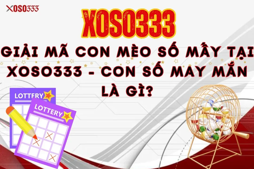 Giải mã con mèo số mấy tại xoso333 - Con số may mắn là gì?